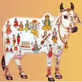 गौ माता के 108 नाम 