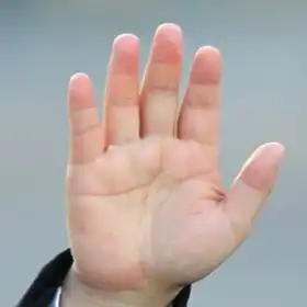 हस्तरेखा शास्त्र: भविष्य जानने की प्राचीन कला | हस्तरेखा और उनका महत्व