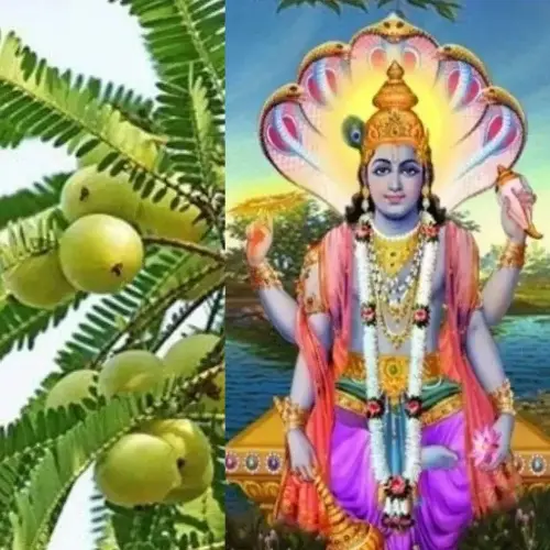 akshay-navami